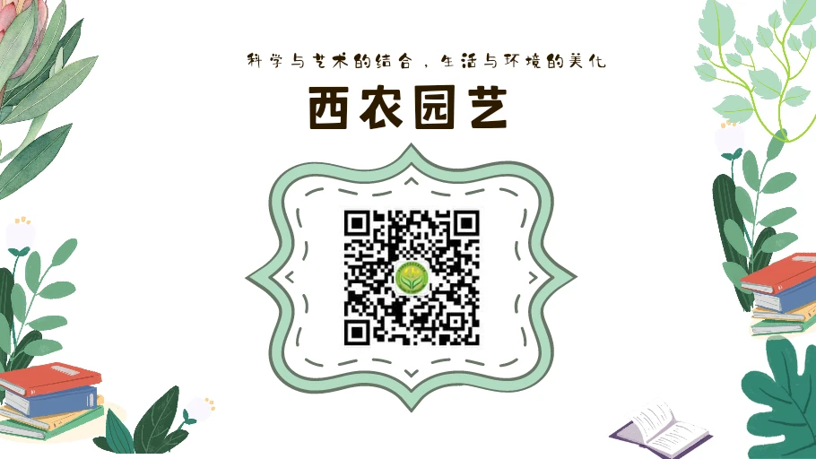 如何制定智能篮球训练计划_1